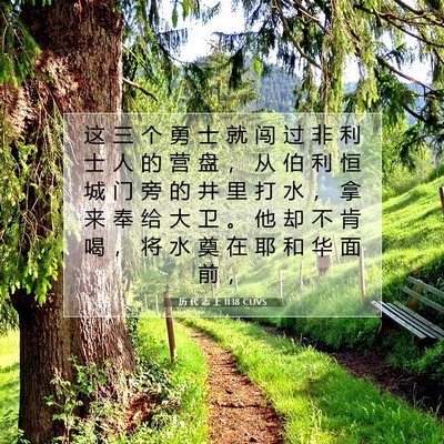 Picture 07 - 历 代 志 上 11:18 CUVS - 这 三 个 勇 士 就 闯 过 非 利 士 人 - Bible Verse Picture
