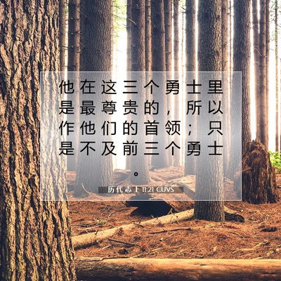 Picture 07 - 历 代 志 上 11:21 CUVS - 他 在 这 三 个 勇 士 里 是 最 尊 贵 - Bible Verse Picture