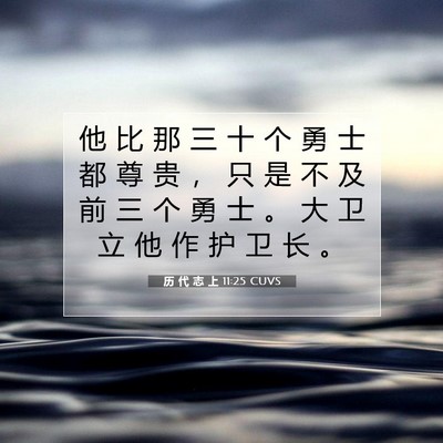 Picture 07 - 历 代 志 上 11:25 CUVS - 他 比 那 三 十 个 勇 士 都 尊 贵 ， - Bible Verse Picture