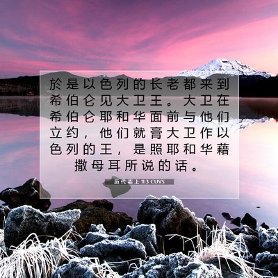 Picture 07 - 历 代 志 上 11:3 CUVS - 於 是 以 色 列 的 长 老 都 来 到 希 - Bible Verse Picture