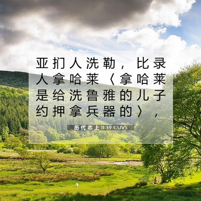 Picture 07 - 历 代 志 上 11:39 CUVS - 亚 扪 人 洗 勒 ， 比 录 人 拿 哈 莱 - Bible Verse Picture