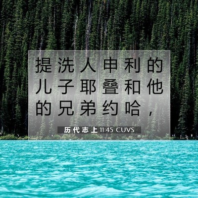 Picture 07 - 历 代 志 上 11:45 CUVS - 提 洗 人 申 利 的 儿 子 耶 叠 和 他 - Bible Verse Picture