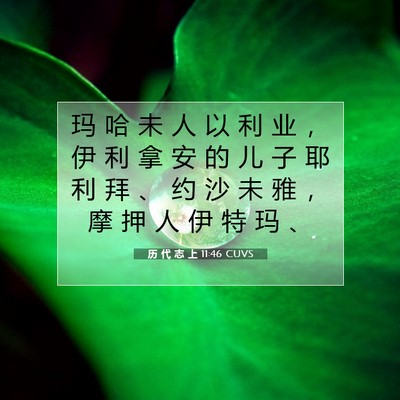 Picture 07 - 历 代 志 上 11:46 CUVS - 玛 哈 未 人 以 利 业 ， 伊 利 拿 安 - Bible Verse Picture