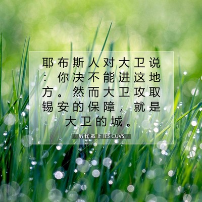 Picture 07 - 历 代 志 上 11:5 CUVS - 耶 布 斯 人 对 大 卫 说 ： 你 决 不 - Bible Verse Picture
