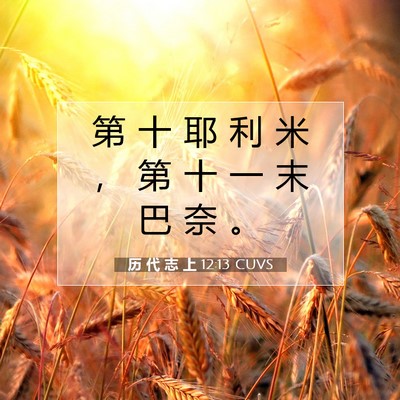 Picture 07 - 历 代 志 上 12:13 CUVS - 第 十 耶 利 米 ， 第 十 一 末 巴 奈 - Bible Verse Picture