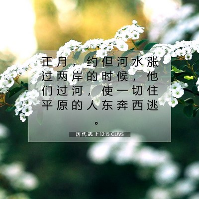 Picture 07 - 历 代 志 上 12:15 CUVS - 正 月 ， 约 但 河 水 涨 过 两 岸 的 - Bible Verse Picture
