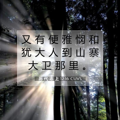 Picture 07 - 历 代 志 上 12:16 CUVS - 又 有 便 雅 悯 和 犹 大 人 到 山 寨 - Bible Verse Picture