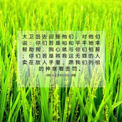 Picture 07 - 历 代 志 上 12:17 CUVS - 大 卫 出 去 迎 接 他 们 ， 对 他 们 - Bible Verse Picture