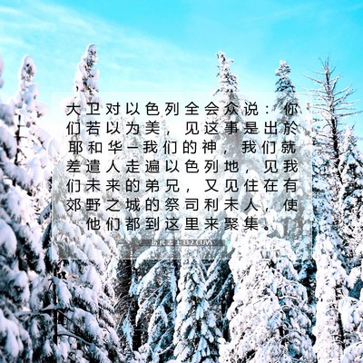 Picture 07 - 历 代 志 上 13:2 CUVS - 大 卫 对 以 色 列 全 会 众 说 ： 你 - Bible Verse Picture