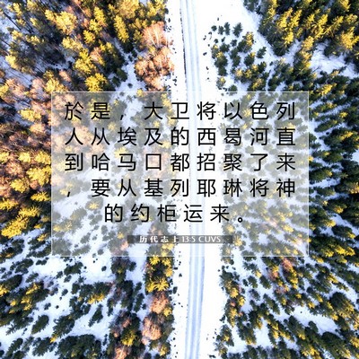 Picture 07 - 历 代 志 上 13:5 CUVS - 於 是 ， 大 卫 将 以 色 列 人 从 埃 - Bible Verse Picture