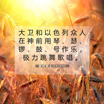 Picture 07 - 历 代 志 上 13:8 CUVS - 大 卫 和 以 色 列 众 人 在 神 前 用 - Bible Verse Picture