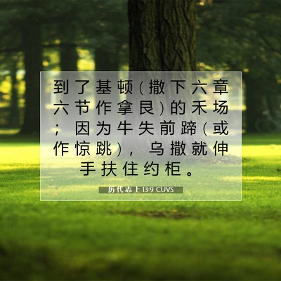Picture 07 - 历 代 志 上 13:9 CUVS - 到 了 基 顿 ( 撒 下 六 章 六 节 作 拿 - Bible Verse Picture