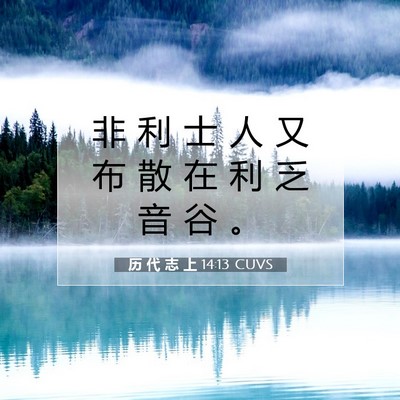Picture 07 - 历 代 志 上 14:13 CUVS - 非 利 士 人 又 布 散 在 利 乏 音 谷 - Bible Verse Picture
