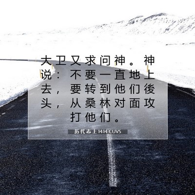 Picture 07 - 历 代 志 上 14:14 CUVS - 大 卫 又 求 问 神 。 神 说 ： 不 要 - Bible Verse Picture