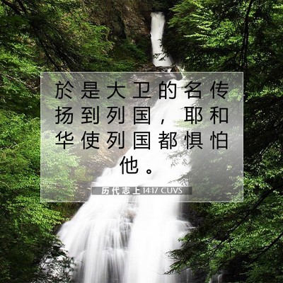 Picture 07 - 历 代 志 上 14:17 CUVS - 於 是 大 卫 的 名 传 扬 到 列 国 ， - Bible Verse Picture