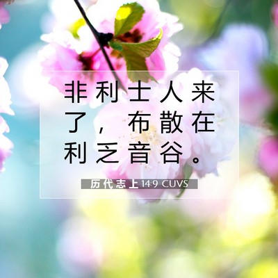 Picture 07 - 历 代 志 上 14:9 CUVS - 非 利 士 人 来 了 ， 布 散 在 利 乏 - Bible Verse Picture