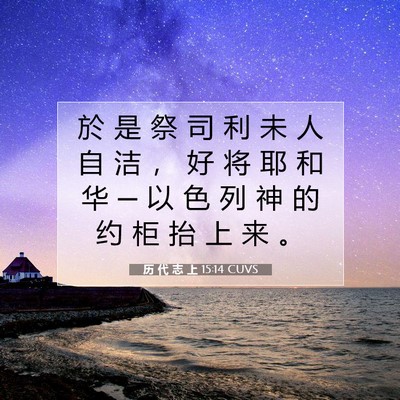 Picture 07 - 历 代 志 上 15:14 CUVS - 於 是 祭 司 利 未 人 自 洁 ， 好 将 - Bible Verse Picture