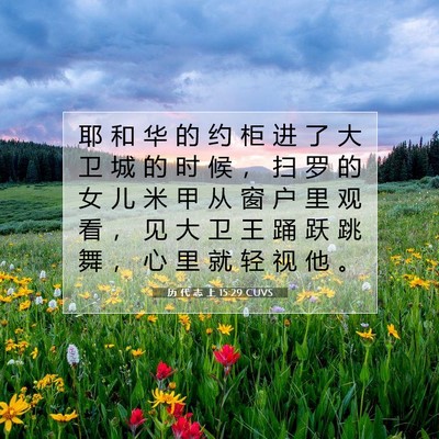 Picture 07 - 历 代 志 上 15:29 CUVS - 耶 和 华 的 约 柜 进 了 大 卫 城 的 - Bible Verse Picture