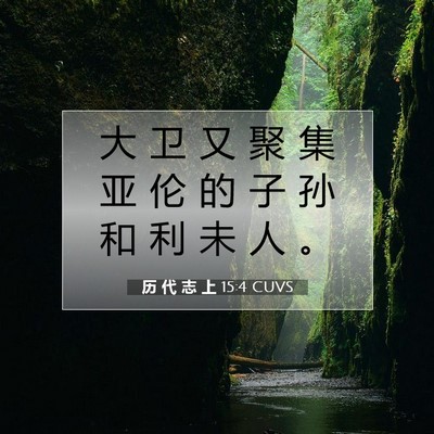 Picture 07 - 历 代 志 上 15:4 CUVS - 大 卫 又 聚 集 亚 伦 的 子 孙 和 利 - Bible Verse Picture