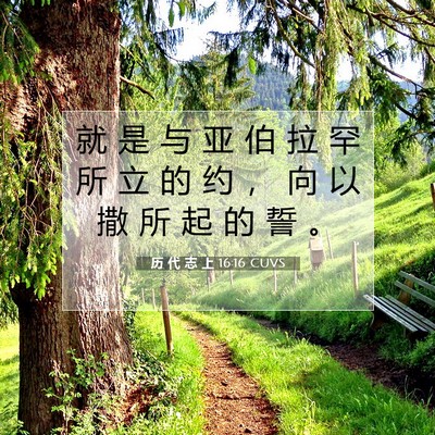 Picture 07 - 历 代 志 上 16:16 CUVS - 就 是 与 亚 伯 拉 罕 所 立 的 约 ， - Bible Verse Picture
