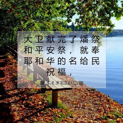 Picture 07 - 历 代 志 上 16:2 CUVS - 大 卫 献 完 了 燔 祭 和 平 安 祭 ， - Bible Verse Picture