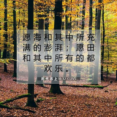 Picture 07 - 历 代 志 上 16:32 CUVS - 愿 海 和 其 中 所 充 满 的 澎 湃 ； - Bible Verse Picture