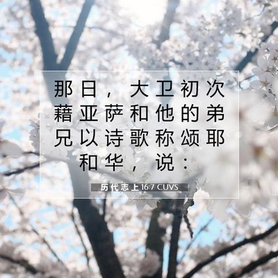 Picture 07 - 历 代 志 上 16:7 CUVS - 那 日 ， 大 卫 初 次 藉 亚 萨 和 他 - Bible Verse Picture