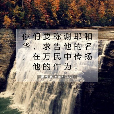 Picture 07 - 历 代 志 上 16:8 CUVS - 你 们 要 称 谢 耶 和 华 ， 求 告 他 - Bible Verse Picture