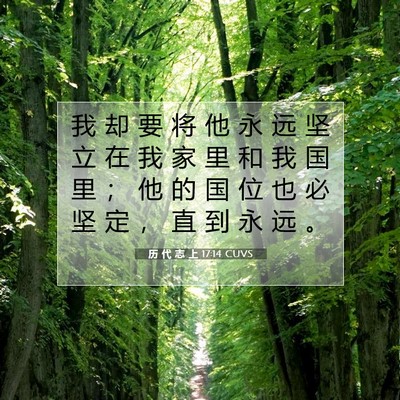 Picture 07 - 历 代 志 上 17:14 CUVS - 我 却 要 将 他 永 远 坚 立 在 我 家 - Bible Verse Picture