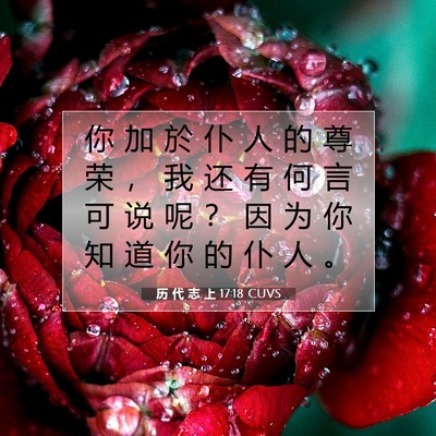 Picture 07 - 历 代 志 上 17:18 CUVS - 你 加 於 仆 人 的 尊 荣 ， 我 还 有 - Bible Verse Picture