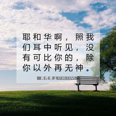 Picture 07 - 历 代 志 上 17:20 CUVS - 耶 和 华 啊 ， 照 我 们 耳 中 听 见 - Bible Verse Picture