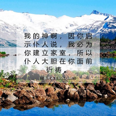 Picture 07 - 历 代 志 上 17:25 CUVS - 我 的 神 啊 ， 因 你 启 示 仆 人 说 - Bible Verse Picture