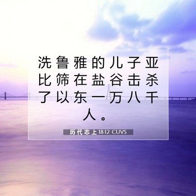 Picture 07 - 历 代 志 上 18:12 CUVS - 洗 鲁 雅 的 儿 子 亚 比 筛 在 盐 谷 - Bible Verse Picture