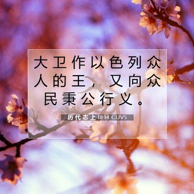 Picture 07 - 历 代 志 上 18:14 CUVS - 大 卫 作 以 色 列 众 人 的 王 ， 又 - Bible Verse Picture