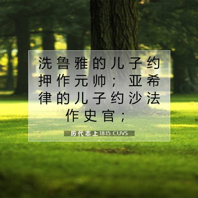 Picture 07 - 历 代 志 上 18:15 CUVS - 洗 鲁 雅 的 儿 子 约 押 作 元 帅 ； - Bible Verse Picture