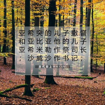 Picture 07 - 历 代 志 上 18:16 CUVS - 亚 希 突 的 儿 子 撒 督 和 亚 比 亚 - Bible Verse Picture