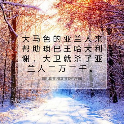 Picture 07 - 历 代 志 上 18:5 CUVS - 大 马 色 的 亚 兰 人 来 帮 助 琐 巴 - Bible Verse Picture