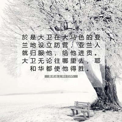 Picture 07 - 历 代 志 上 18:6 CUVS - 於 是 大 卫 在 大 马 色 的 亚 兰 地 - Bible Verse Picture