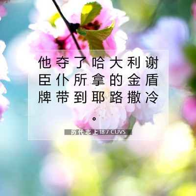Picture 07 - 历 代 志 上 18:7 CUVS - 他 夺 了 哈 大 利 谢 臣 仆 所 拿 的 - Bible Verse Picture