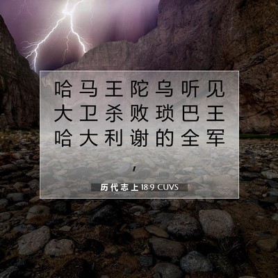 Picture 07 - 历 代 志 上 18:9 CUVS - 哈 马 王 陀 乌 听 见 大 卫 杀 败 琐 - Bible Verse Picture
