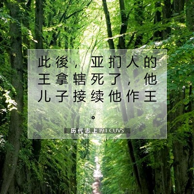 Picture 07 - 历 代 志 上 19:1 CUVS - 此 後 ， 亚 扪 人 的 王 拿 辖 死 了 - Bible Verse Picture