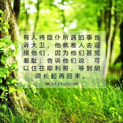 Picture 07 - 历 代 志 上 19:5 CUVS - 有 人 将 臣 仆 所 遇 的 事 告 诉 大 - Bible Verse Picture