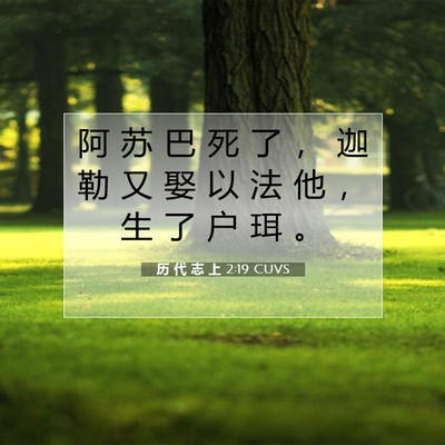 Picture 07 - 历 代 志 上 2:19 CUVS - 阿 苏 巴 死 了 ， 迦 勒 又 娶 以 法 - Bible Verse Picture