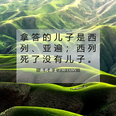 Picture 07 - 历 代 志 上 2:30 CUVS - 拿 答 的 儿 子 是 西 列 、 亚 遍 ； - Bible Verse Picture