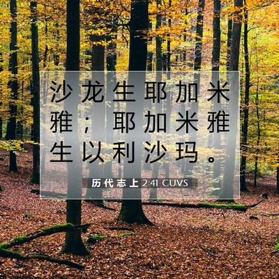 Picture 07 - 历 代 志 上 2:41 CUVS - 沙 龙 生 耶 加 米 雅 ； 耶 加 米 雅 - Bible Verse Picture