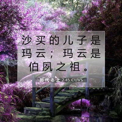 Picture 07 - 历 代 志 上 2:45 CUVS - 沙 买 的 儿 子 是 玛 云 ； 玛 云 是 - Bible Verse Picture