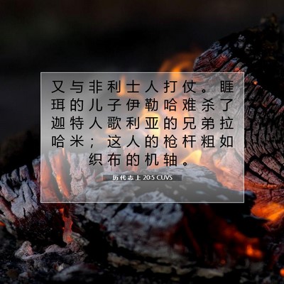 Picture 07 - 历 代 志 上 20:5 CUVS - 又 与 非 利 士 人 打 仗 。 睚 珥 的 - Bible Verse Picture
