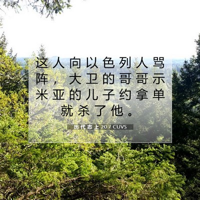 Picture 07 - 历 代 志 上 20:7 CUVS - 这 人 向 以 色 列 人 骂 阵 ， 大 卫 - Bible Verse Picture