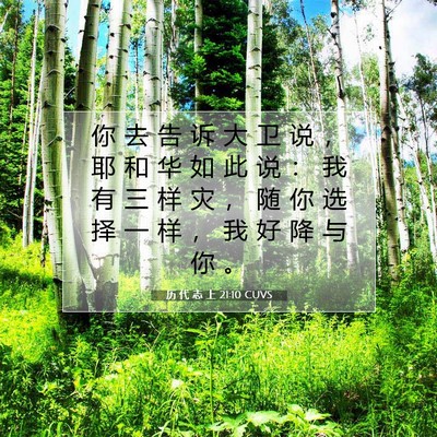 Picture 07 - 历 代 志 上 21:10 CUVS - 你 去 告 诉 大 卫 说 ， 耶 和 华 如 - Bible Verse Picture