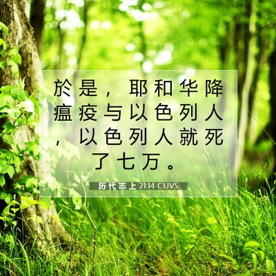 Picture 07 - 历 代 志 上 21:14 CUVS - 於 是 ， 耶 和 华 降 瘟 疫 与 以 色 - Bible Verse Picture